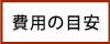 ��p�̖ڈ�